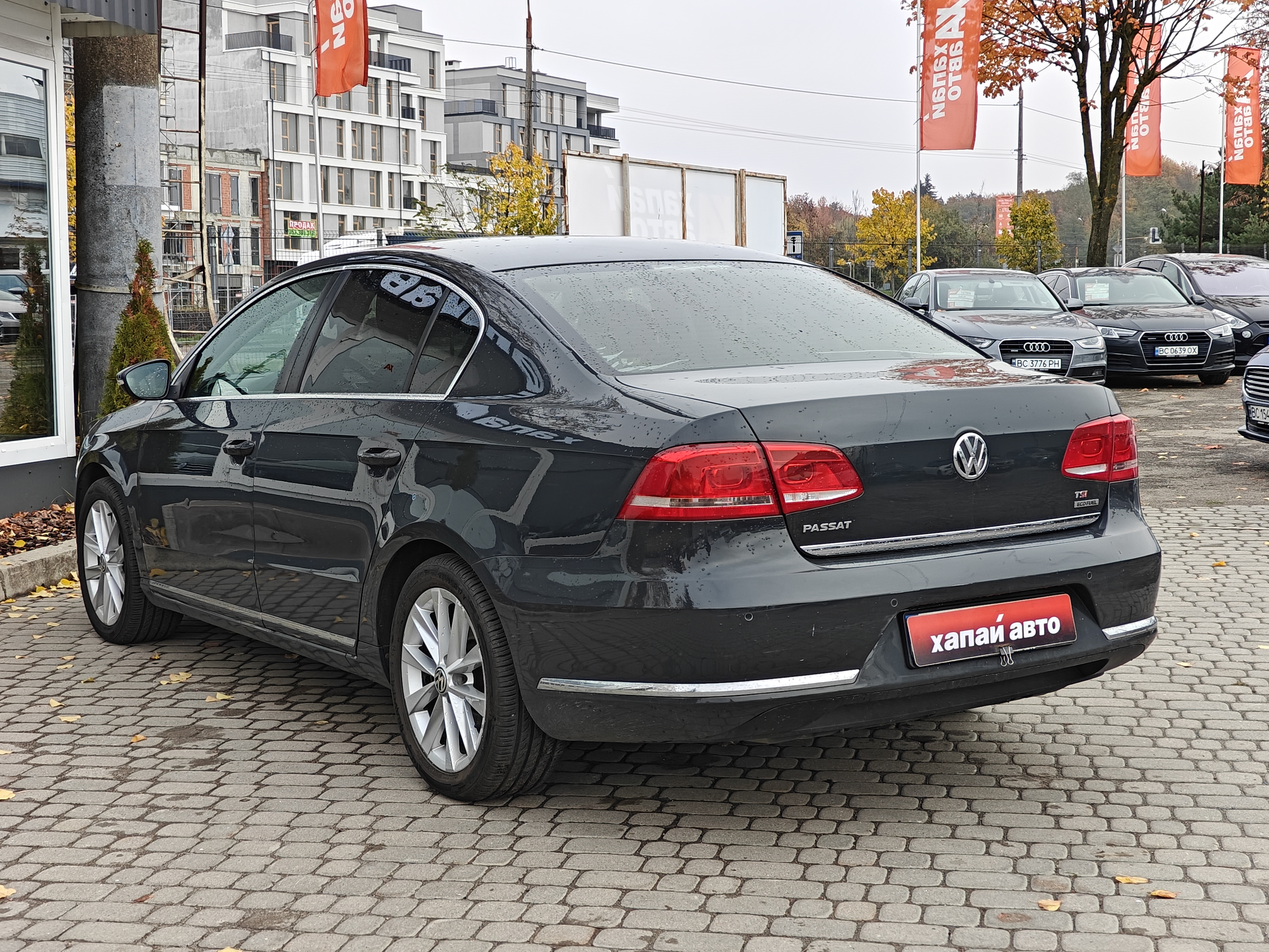 Volkswagen-6