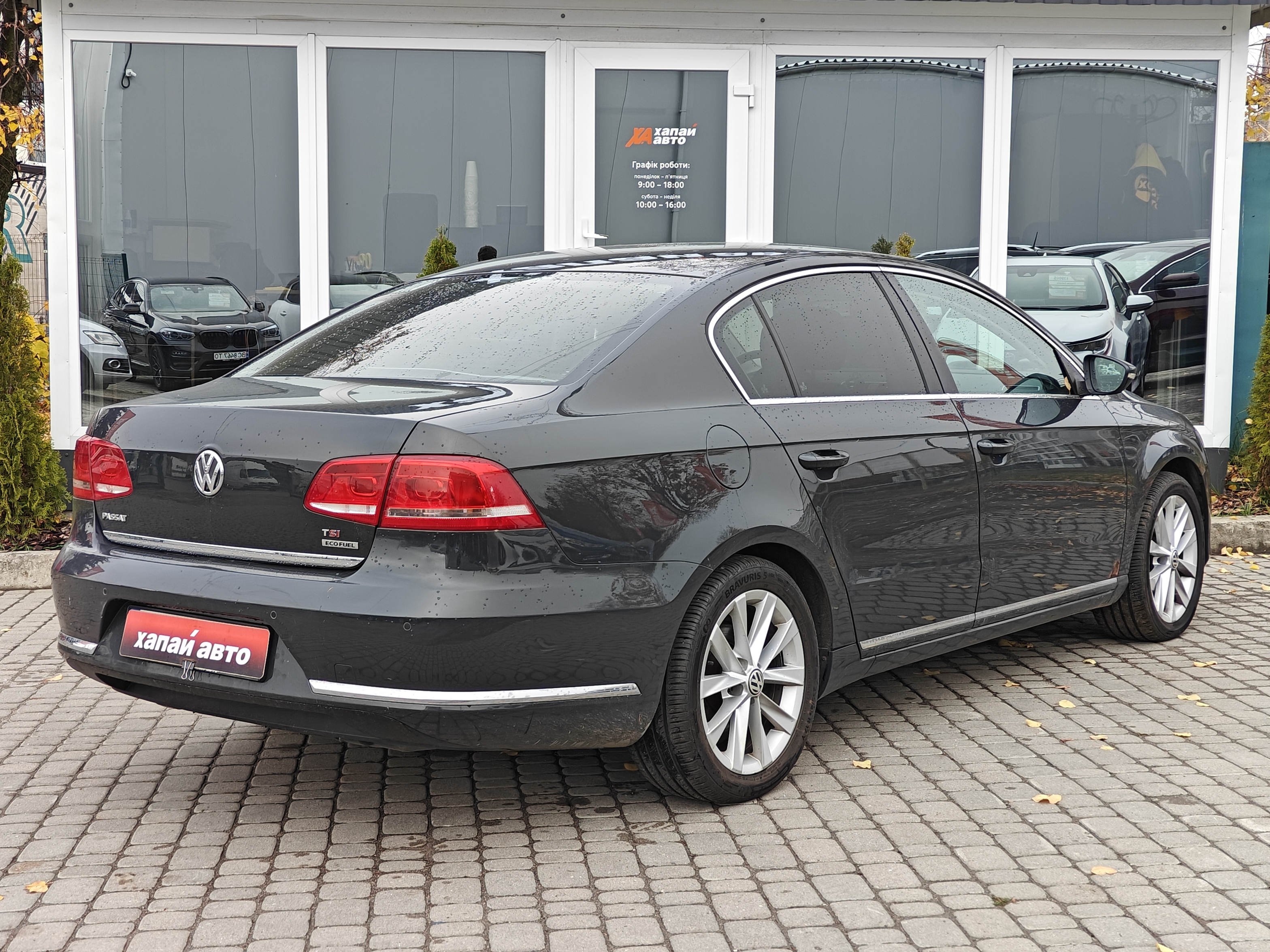 Volkswagen-17
