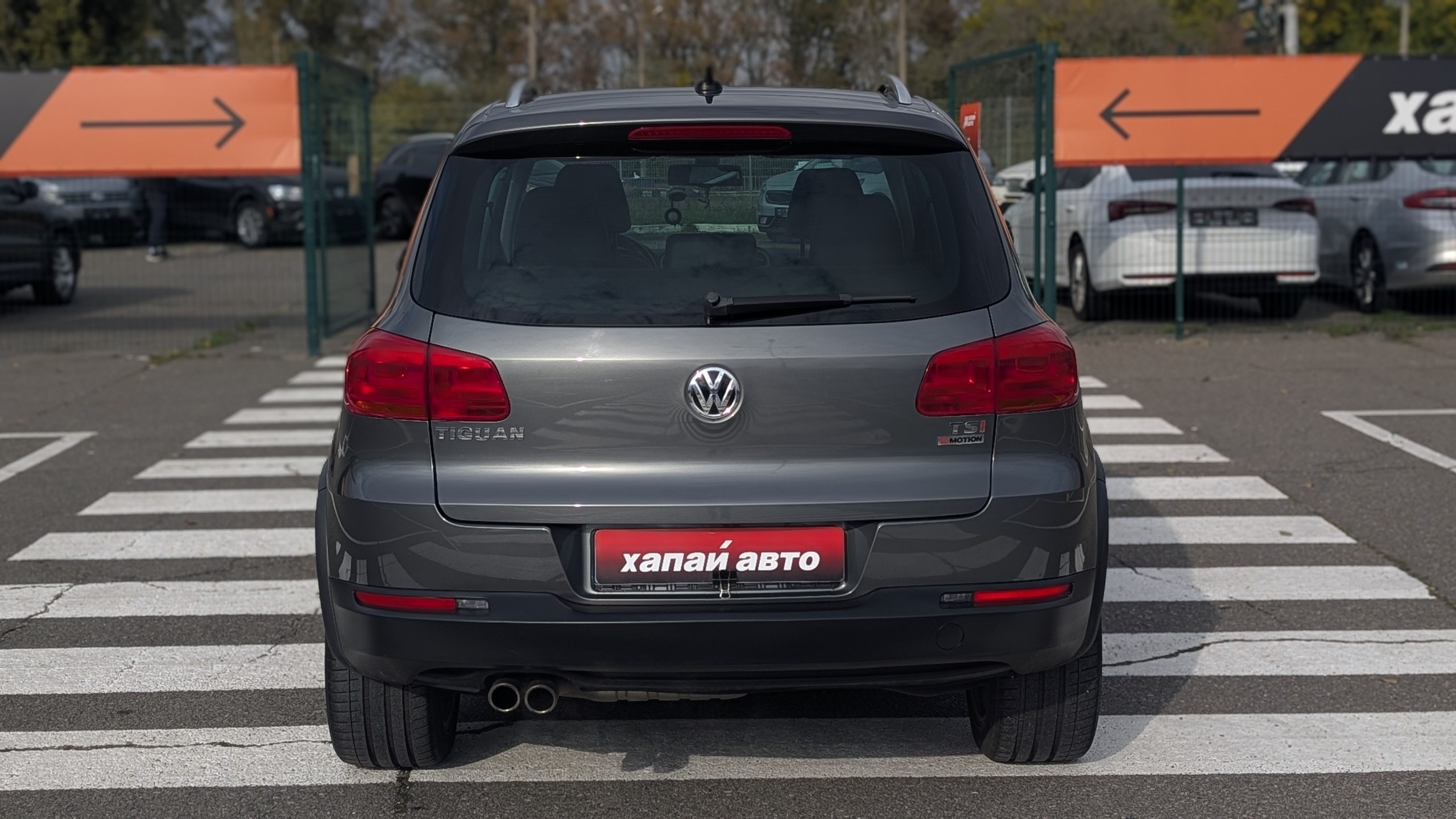 Volkswagen-16