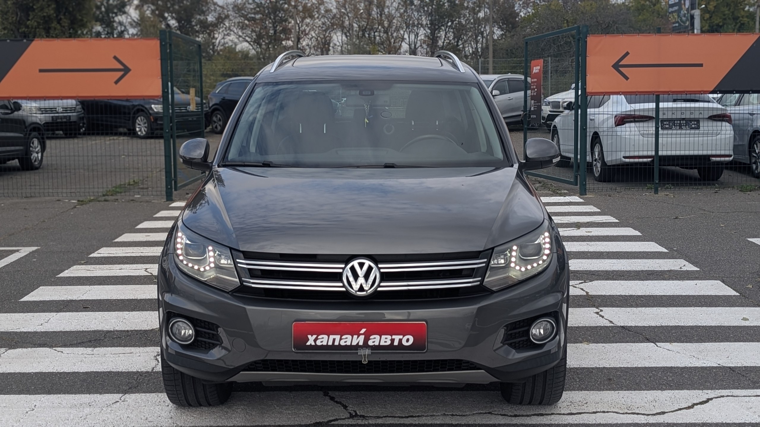 Volkswagen-5